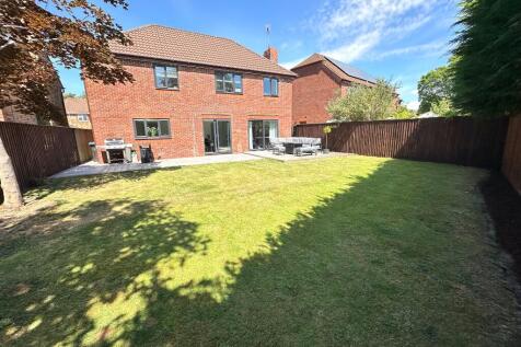 Property Image 33