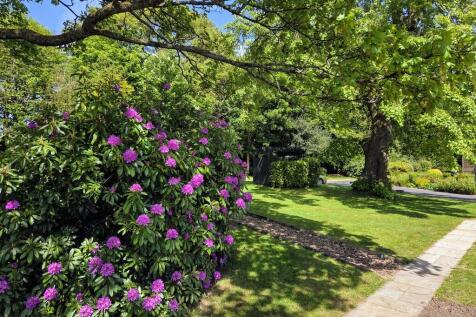 Property Image 35