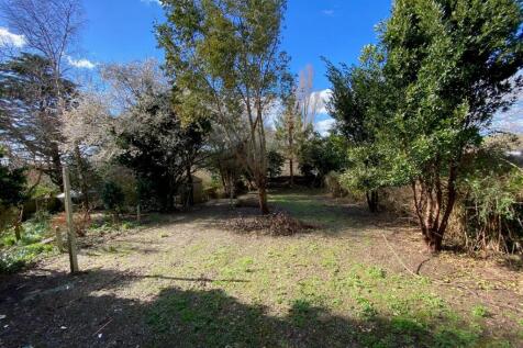GARDEN 2.jpg