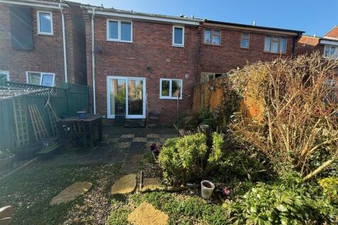 New Garden 3.jpg