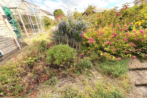 GARDEN 3.jpg