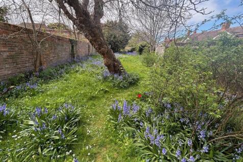 Garden 2.jpg