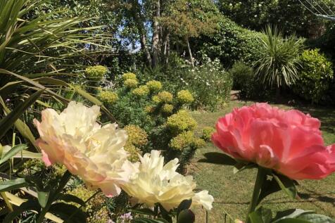Garden 3.jpeg