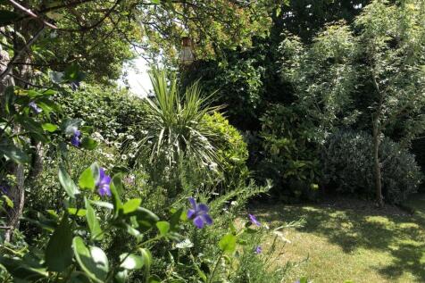 Garden 5.jpeg
