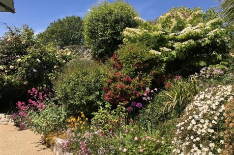 Garden 6.jpeg