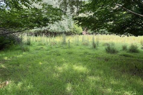 Open land.jpeg