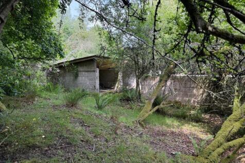More dereliction.jpeg