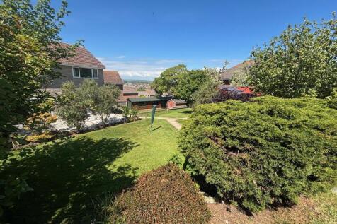 Garden 17.jpg