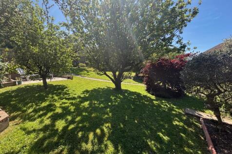 Garden 12.jpg