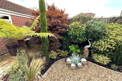 GARDEN 1.jpg