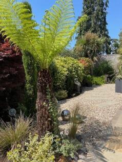 1 GARDEN 2.jpg