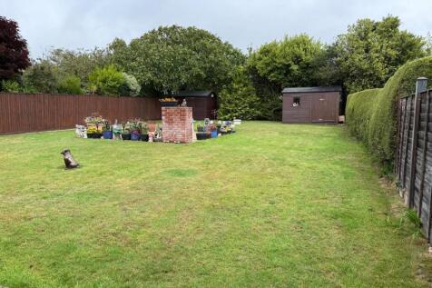 garden.jpeg