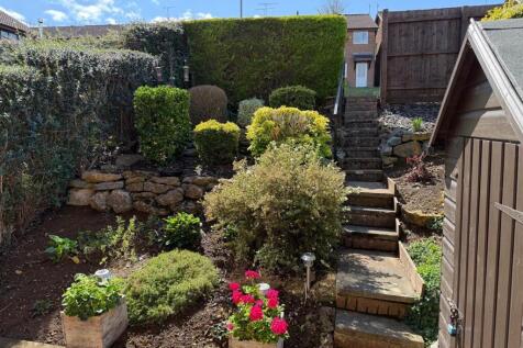 Front garden.jpeg
