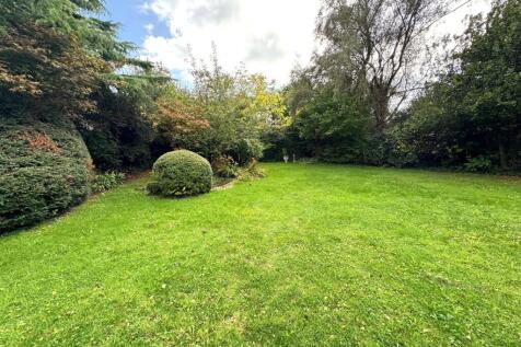 GARDEN.jpg