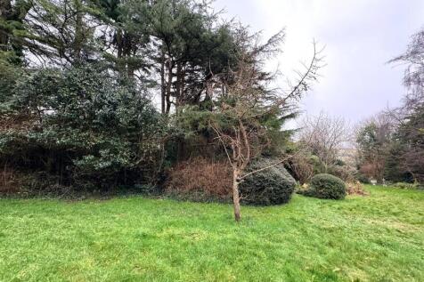 GARDEN THREE.jpg