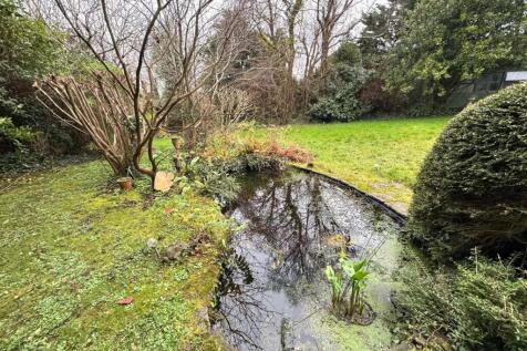 POND.jpg