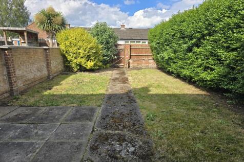 Back Garden