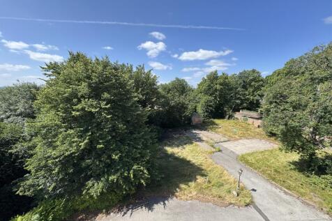 19-AUG-25