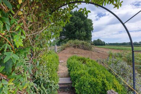 Vegetable Patch