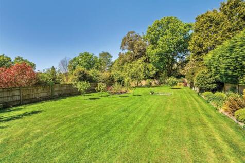 Garden (3)