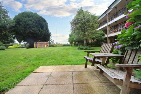 Own Patio Area
