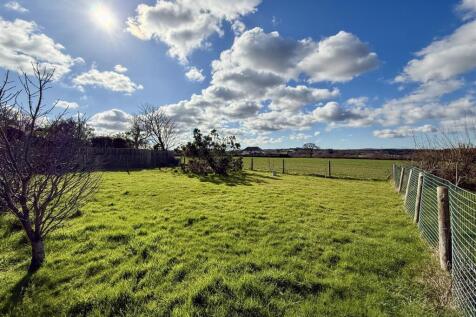 Rear Garden: