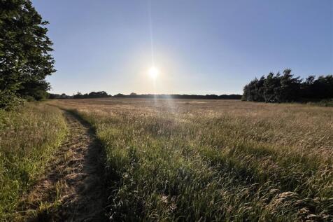 Land sun.JPG