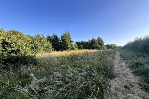 Land woodland 2.JPG