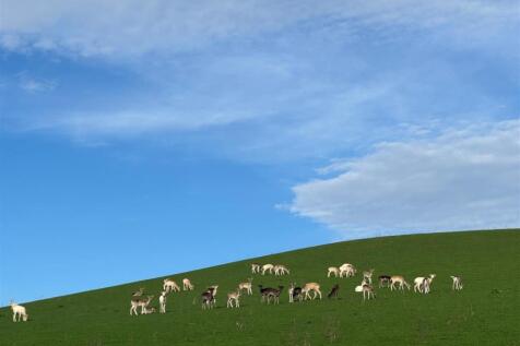 Deer Nunnery Lane 2.jpg