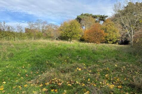 Bright gardens Nunnery Lane.jpg