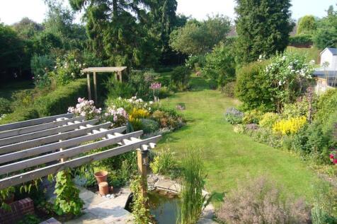 Garden in Summer