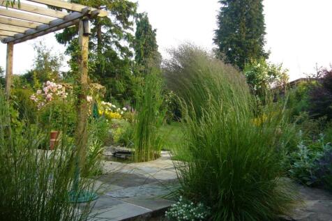 Garden in Summer