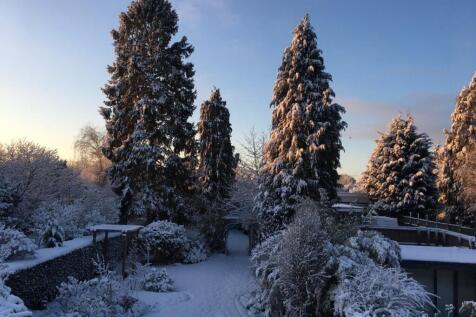 Garden in Winter