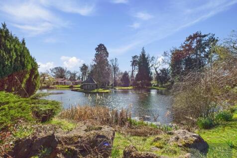 Lakeside View