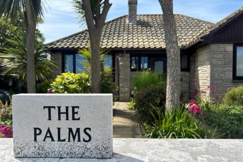 The Palms 1.jpg