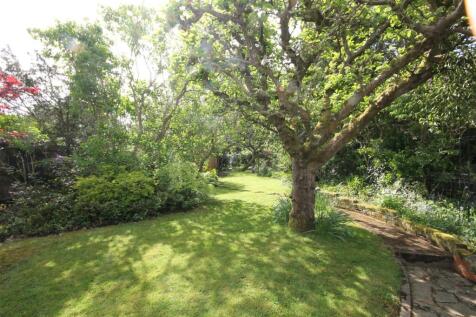 .garden2.JPG