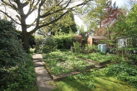 .garden4.JPG