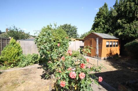 .garden.JPG