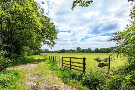 Hunters-Heath-8.jpg