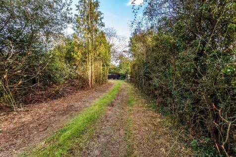 Misbrooks-Green-Farm-11.jpg