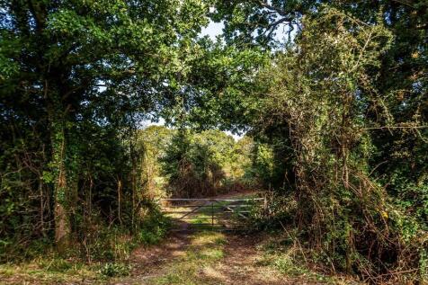 Misbrooks-Green-Farm-14.jpg