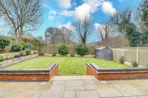 backgarden1
