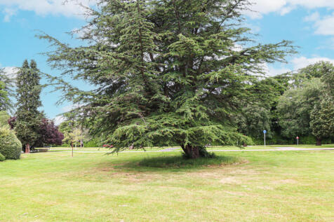 Communal Grounds