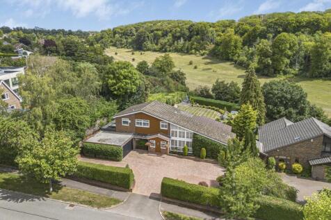 Aerial Shot