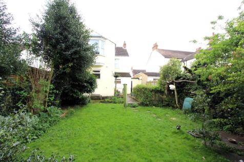 Garden 4.JPG
