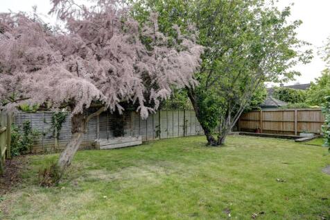 Garden 4.jpg
