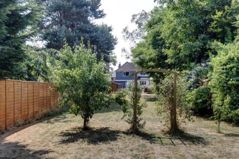 Garden 2.jpg