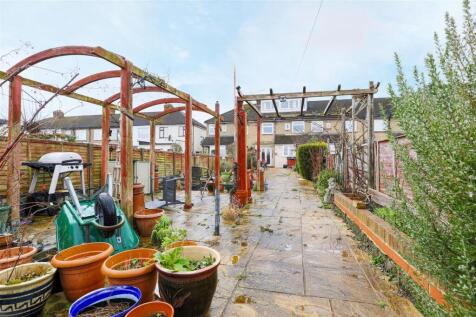 garden 2.jpg