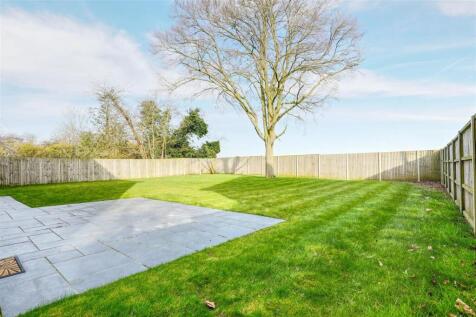 garden 2.jpg