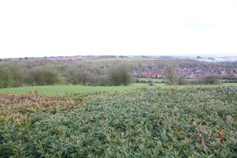 View Beyond The Garden